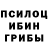 Псилоцибиновые грибы GOLDEN TEACHER Lesley Harris