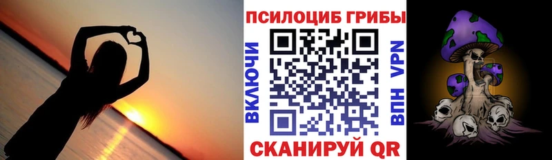 Купить закладки  Устюжна  Галлюциногенные грибы Psilocybe 