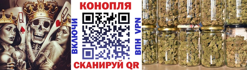 Купить закладки  Устюжна  Конопля White Widow 